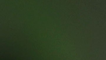 El presidente Trump consideró que no se reveló nada nuevo en el Senado.