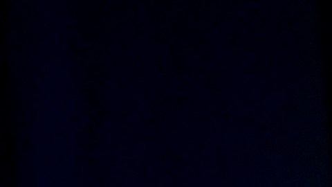 Michelle Obama acudió hace unos días a Nueva York.