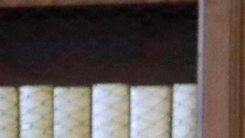 Las Trump se vistieron de acuerdo al protocolo de el Vaticano.