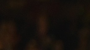 El Manchester United derrotó por dos goles a cero al Ájax, que pecó de inexperiencia.