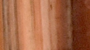 La pareja se casó en trajes de Adán y Eva.