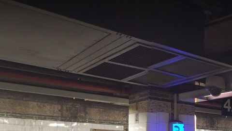 La víctima de 35 años salía del tren 5 en la estación Grand Central- 42 Street cuando la golpearon.