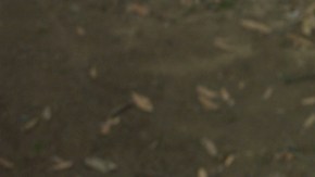 Chris Pratt (centro) y Zoe Saldaña (de verde) en una escena de Guardians of the Galaxy Vol. 2.