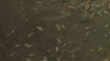 Chris Pratt (centro) y Zoe Saldaña (de verde) en una escena de Guardians of the Galaxy Vol. 2.