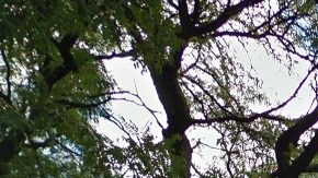 Jacobi Medical Center, El Bronx, NYC.