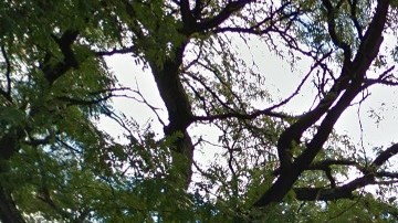 Jacobi Medical Center, El Bronx, NYC.