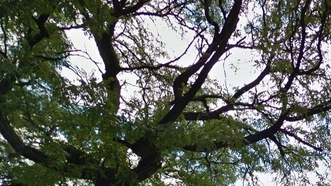 Jacobi Medical Center, El Bronx, NYC.