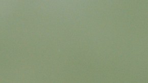 Schoolgirl (8-9) raising her hand in a classroom with a schoolboy (10-11) behind her