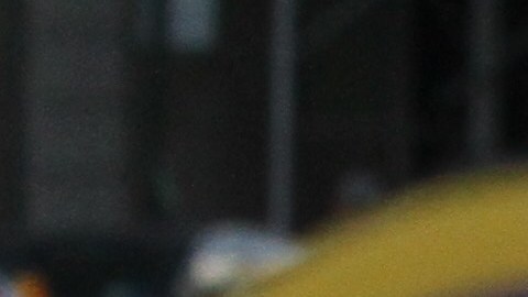 Cientos de manifestantes se reunieron en Foley Square