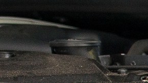 El becario debe recibir el mismo entrenamiento que recibiría en un ambiente escolar./Shutterstock