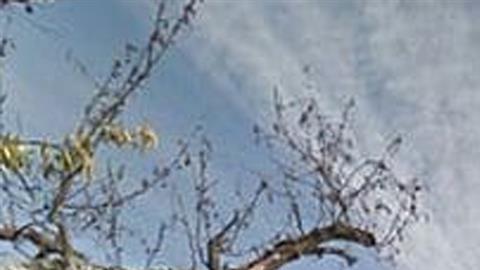 Las autoridades buscan evitar que Bormida termine siendo un pueblo fantasma.