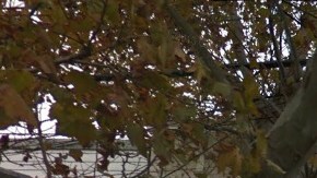 El cuerpo de la víctima fue encontrado al frente del 79-81 de la avenida Reservoir, en Jersey City.