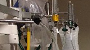 Jessica Williams es una de las víctimas del arrollamiento en Times Square.