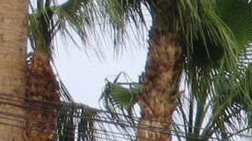 ACOMPAÑA CRÓNICA: FRONTERA TÚNELES SHM19. MEXICALI (MÉXICO), 15/04/2017.- Fotografía sin fecha cedida hoy, sábado 15 de abril de 2017 en donde se aprecia una pagoda china en el Parque de la Amistad de la ciudad de Mexicali, la capital del estado mexicano de Baja California, donde a principios del siglo XX llegaron miles de inmigrantes chinos para trabajar en el cultivo del algodón. Los mitos sobre la existencia de una ciudad oculta debajo del barrio "La chinesca" de Mexicali, localidad mexicana colindante con Caléxico (California, EE.UU.), no tienen que ver con el tráfico de drogas o de inmigrantes, sino con un pasado oriental que aun se deja ver y sobre todo paladear. EFE/Leigh Thelmadatter/SOLO USO EDITORIAL/NO VENTAS