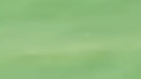 Las imágenes fueron captadas en África.