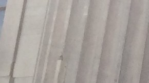 Al menos 250 personas se manifestaron afuera del Brooklyn Borough Hall.