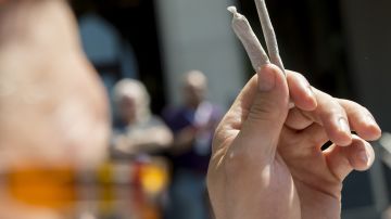Los individuos en posesión de menos de 25 gramos de marihuana no deberían ser arrestados.