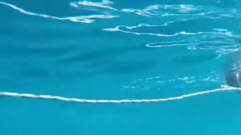 La actriz grababa un comercial en Miami.