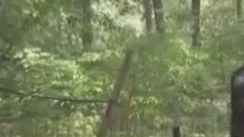 El cuerpo fue encontrado en Alley Pond Park, cerca de 76th Street y Cloverdale Road.