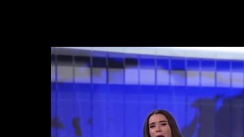 perro noticias