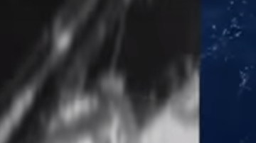 El tiburón intentó escapar de sus captores.