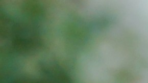 No se procupe solo por el dinero, su identidad también está en juego./Shutterstock