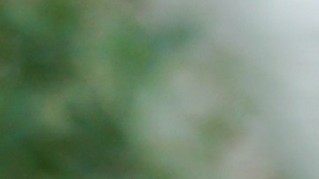 No se procupe solo por el dinero, su identidad también está en juego./Shutterstock