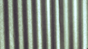 Juanes cuenta con 23 premios Grammy a sus espaldas.