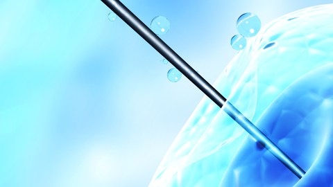 inseminacion artificial