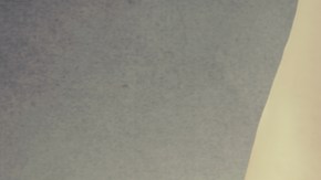 mujer cubre genitales