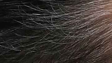 El senador Ted Cruz no logró poner contra las cuerdas a la exfiscal Sally Yates.