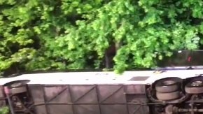 El autobús de la compañía Panda transportaba a 50 personas.