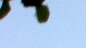 Vista del Castillo, Tulum, al atardecer.