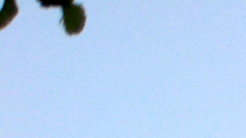 Vista del Castillo, Tulum, al atardecer.