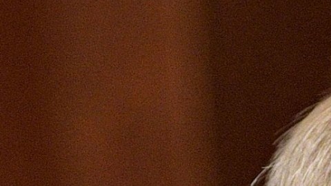 La investigación sobre las relaciones entre Estados Unidos y Rusia no ha obtenido ningún resultado definitivo hasta el momento.