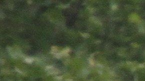 Trafico de carros en Manhattan.