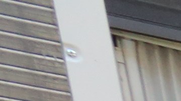 Inquilinas Sofia Greene y Maria Cortes.