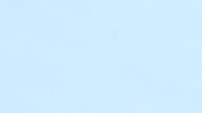 Policia de Porth Authority en la terminal 4. Varios grupos de ayuda a los inmigrantes en el aeropuerto de JFK, en el dia que sera implementado el veto de los musulmanes a los EEUU.