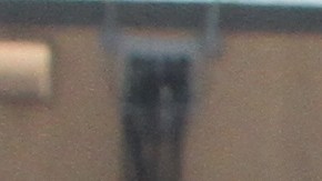 Varios grupos de ayuda a los inmigrantes en el aeropuerto de JFK, en el dia que sera implementado el veto de los musulmanes a los EEUU.