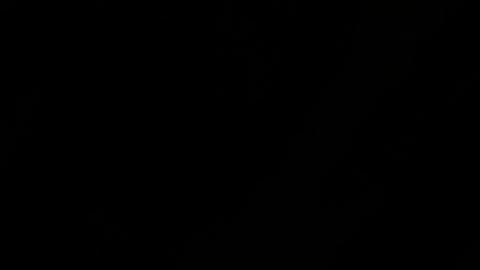 Puerto Rico celebra un plebiscito que no es vinculante.