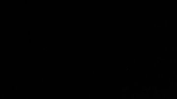 Warren Buffett, el inversor más rico del mundo, los recomienda.