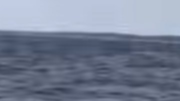 El momento fue tomado en video.