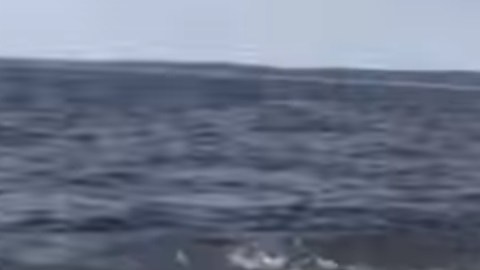 El momento fue tomado en video.