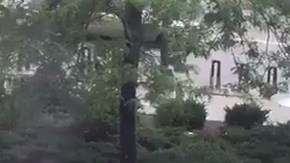 La Policía implementó un operativo.