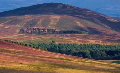 La vivienda ubica en British Borders.