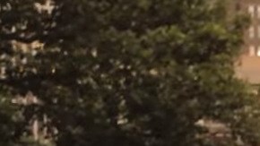 Este año el festival cumple 26 años.