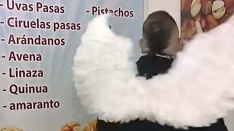 El divino personaje se ha convertido en una celebridad en YouTube.