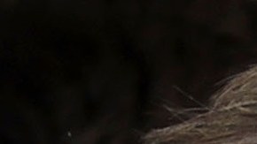 Steve Bannon y Chelsea Clinton.