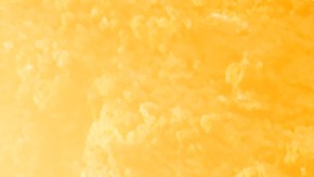 Robaron $440 mil dólares en estafa y salarios no pagados