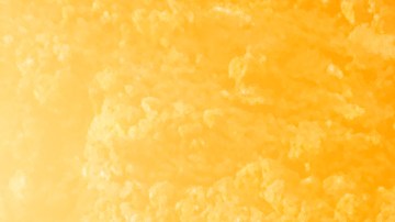 Robaron $440 mil dólares en estafa y salarios no pagados